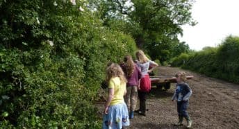 Counting hedgerow species on a CPRE farm walk