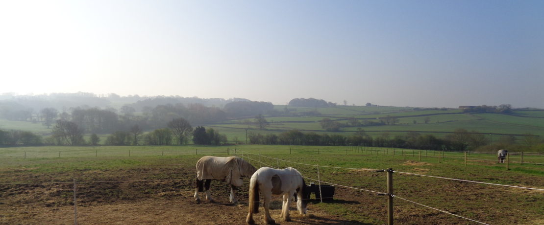 View across farmland from Shirland towards Alfreton