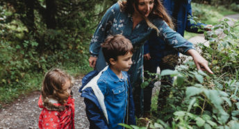 Children interacting with a hedgerow