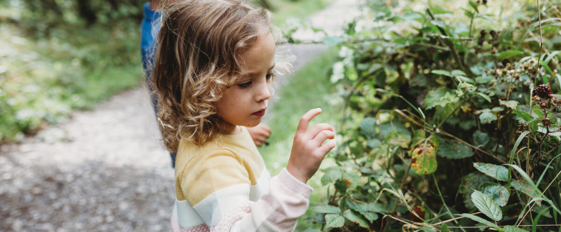 Children looking at and touching bramble hedgerow