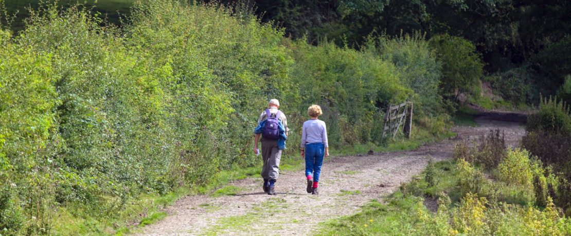 Couple walking next to large hedgerow
