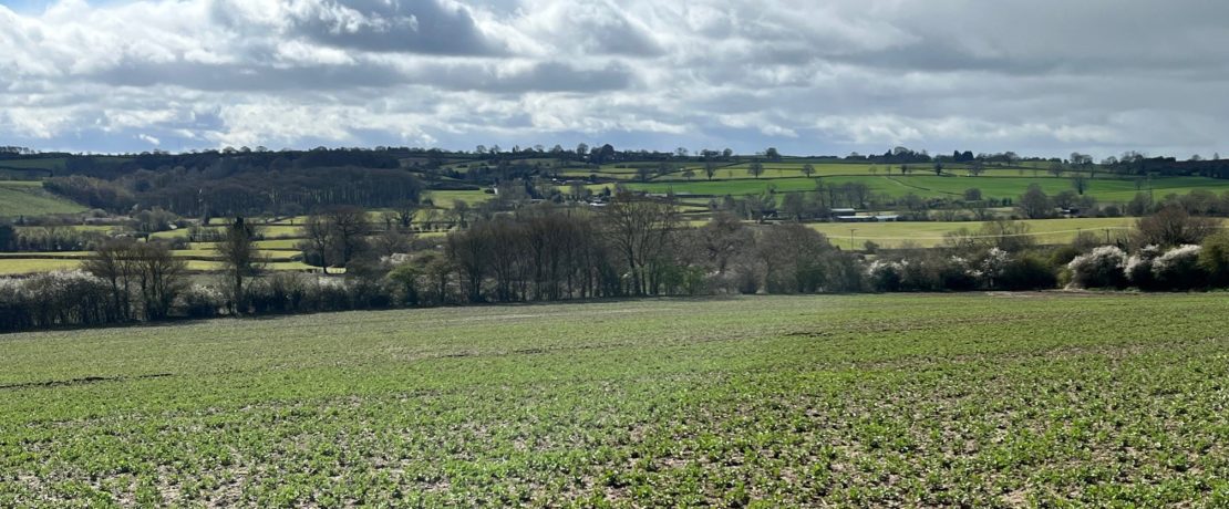 Green Belt land in Erewash