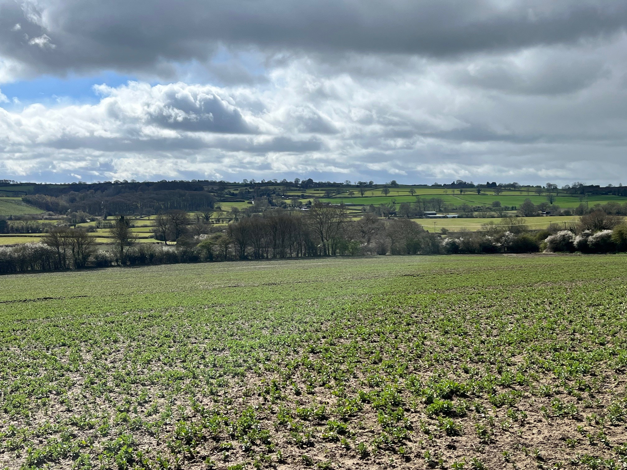 Green Belt land in Erewash