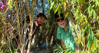 Graham & Jack in the willow dragon