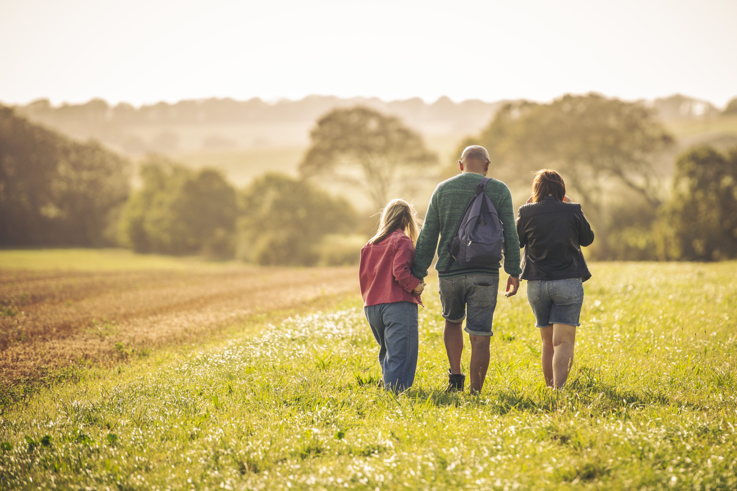 A family walking in a field on a summer evening